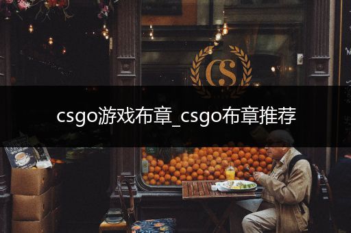 csgo游戏布章_csgo布章推荐