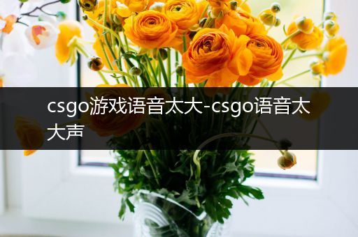 csgo游戏语音太大-csgo语音太大声