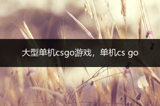 大型单机csgo游戏，单机cs go