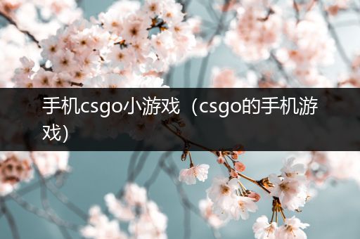 手机csgo小游戏（csgo的手机游戏）