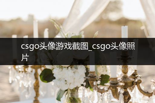 csgo头像游戏截图_csgo头像照片