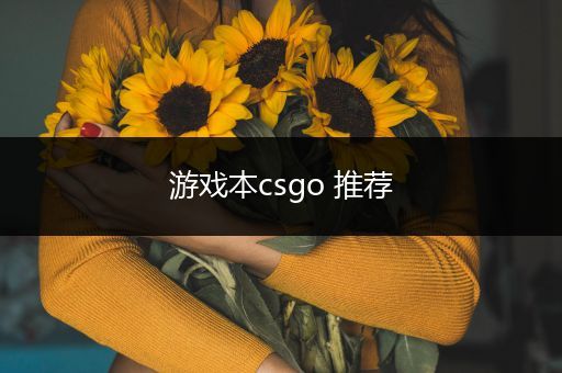 游戏本csgo 推荐