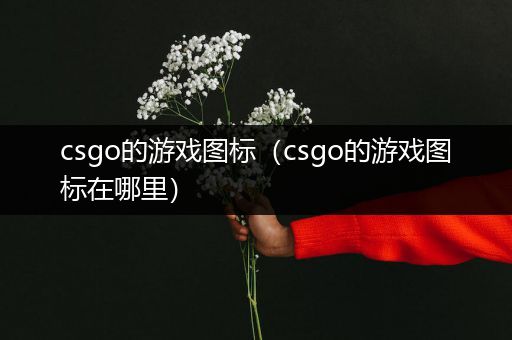 csgo的游戏图标（csgo的游戏图标在哪里）