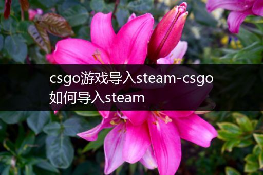 csgo游戏导入steam-csgo如何导入steam