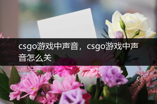 csgo游戏中声音，csgo游戏中声音怎么关