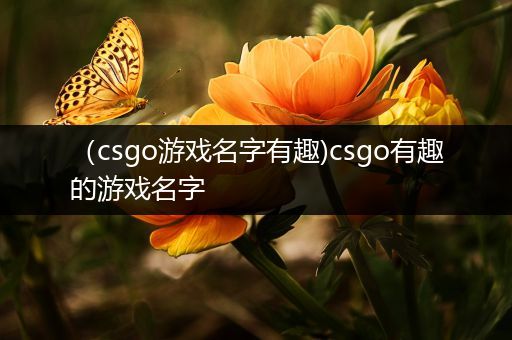 （csgo游戏名字有趣)csgo有趣的游戏名字