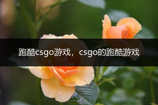 跑酷csgo游戏，csgo的跑酷游戏