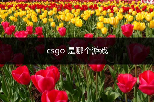 csgo 是哪个游戏