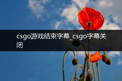 csgo游戏结束字幕_csgo字幕关闭