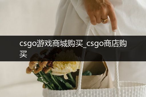 csgo游戏商城购买_csgo商店购买