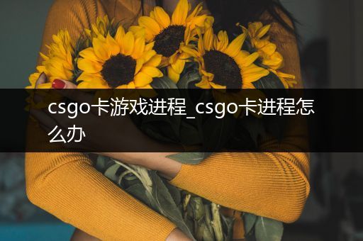 csgo卡游戏进程_csgo卡进程怎么办