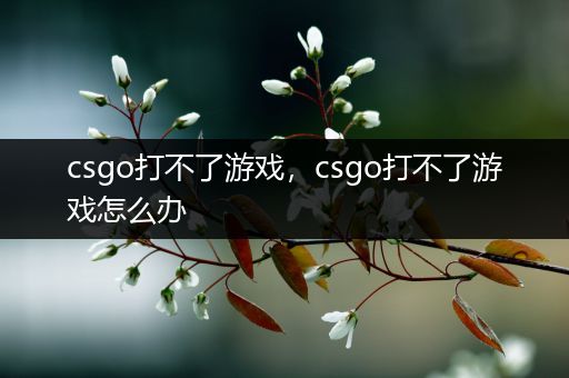 csgo打不了游戏，csgo打不了游戏怎么办