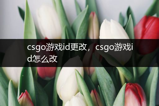 csgo游戏id更改，csgo游戏id怎么改