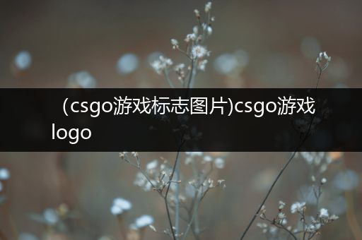 （csgo游戏标志图片)csgo游戏logo