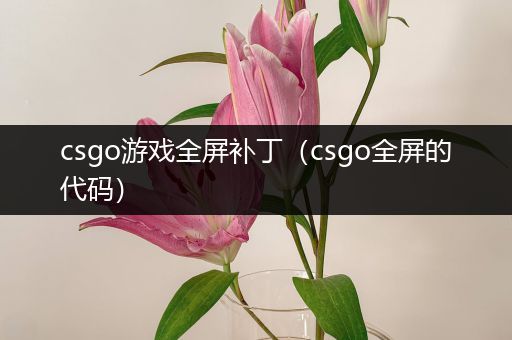 csgo游戏全屏补丁（csgo全屏的代码）