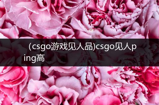 （csgo游戏见人品)csgo见人ping高
