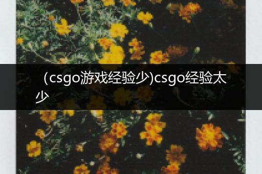 （csgo游戏经验少)csgo经验太少