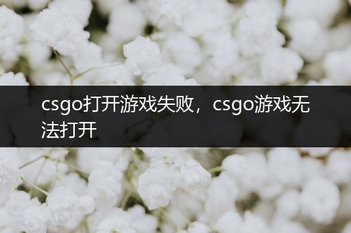 csgo打开游戏失败，csgo游戏无法打开