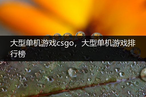 大型单机游戏csgo，大型单机游戏排行榜