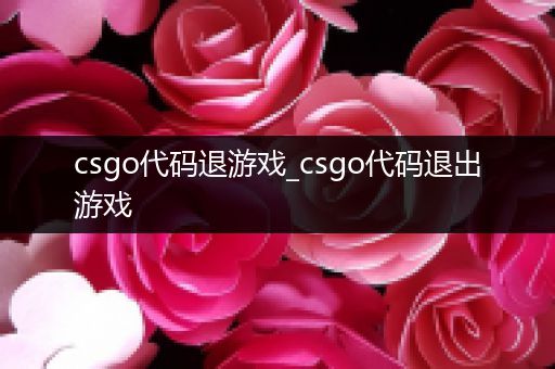 csgo代码退游戏_csgo代码退出游戏