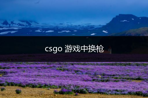 csgo 游戏中换枪