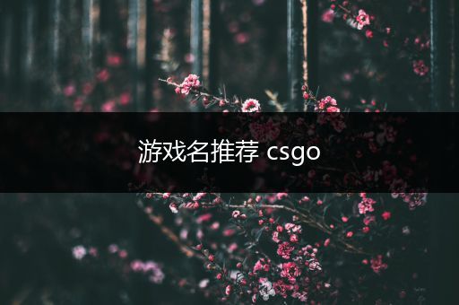 游戏名推荐 csgo