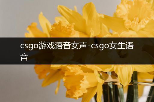 csgo游戏语音女声-csgo女生语音