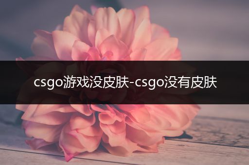 csgo游戏没皮肤-csgo没有皮肤