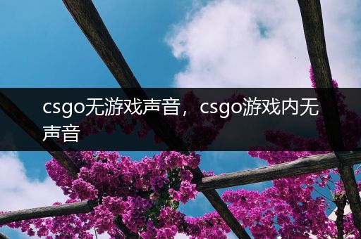 csgo无游戏声音，csgo游戏内无声音