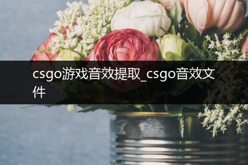 csgo游戏音效提取_csgo音效文件