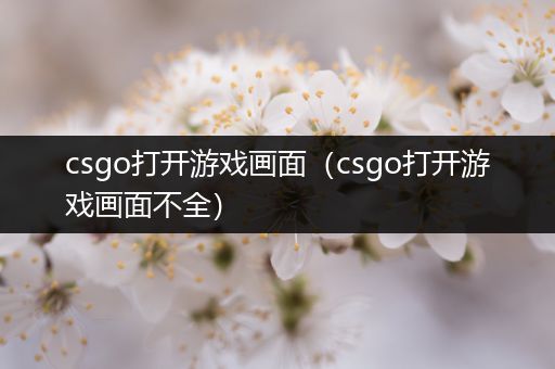 csgo打开游戏画面（csgo打开游戏画面不全）