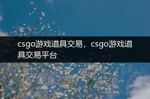 csgo游戏道具交易，csgo游戏道具交易平台