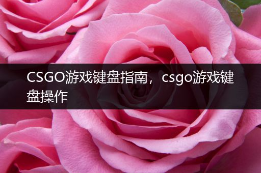 CSGO游戏键盘指南，csgo游戏键盘操作