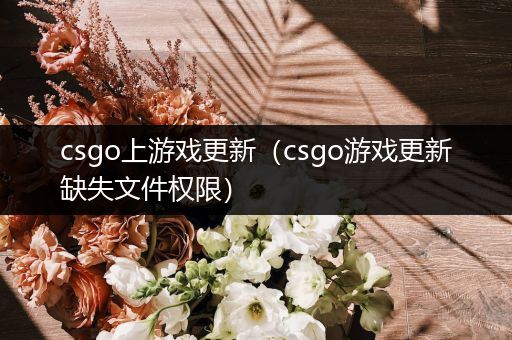 csgo上游戏更新（csgo游戏更新缺失文件权限）