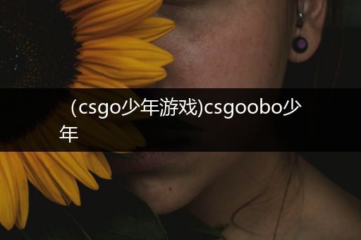 （csgo少年游戏)csgoobo少年