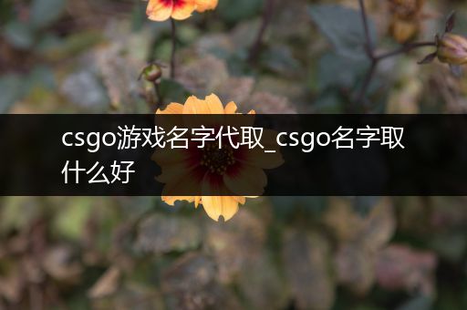 csgo游戏名字代取_csgo名字取什么好