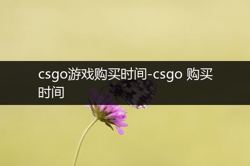 csgo游戏购买时间-csgo 购买时间