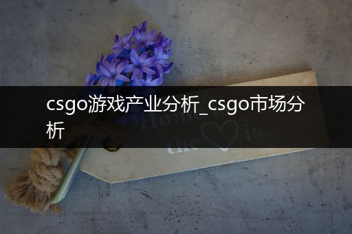 csgo游戏产业分析_csgo市场分析