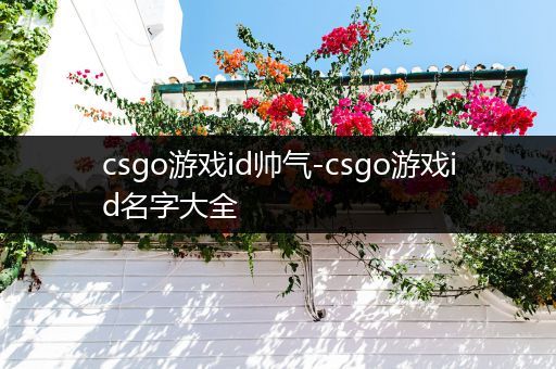 csgo游戏id帅气-csgo游戏id名字大全