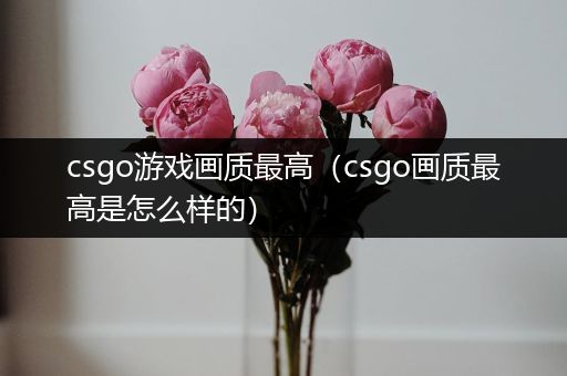 csgo游戏画质最高（csgo画质最高是怎么样的）