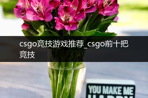 csgo竞技游戏推荐_csgo前十把竞技