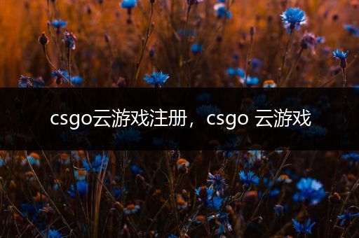 csgo云游戏注册，csgo 云游戏