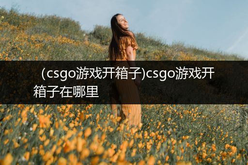 （csgo游戏开箱子)csgo游戏开箱子在哪里