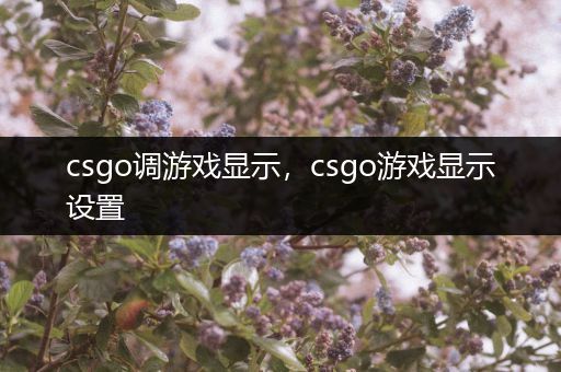 csgo调游戏显示，csgo游戏显示设置