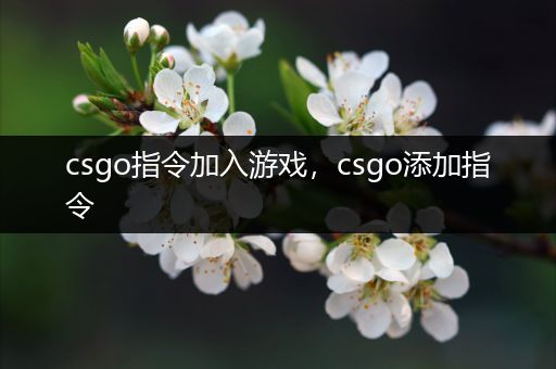 csgo指令加入游戏，csgo添加指令