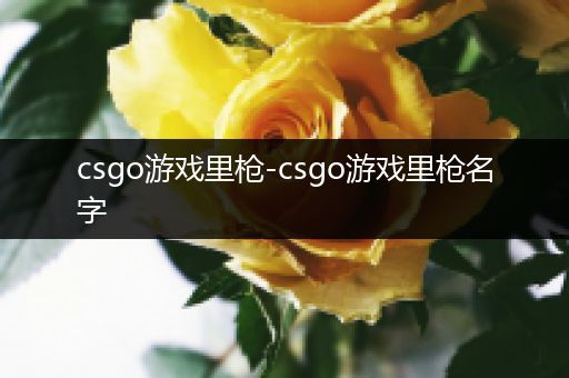 csgo游戏里枪-csgo游戏里枪名字