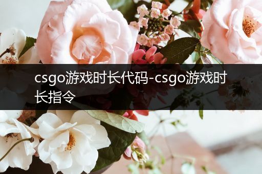 csgo游戏时长代码-csgo游戏时长指令