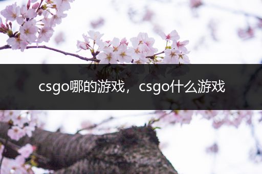 csgo哪的游戏，csgo什么游戏