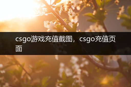 csgo游戏充值截图，csgo充值页面