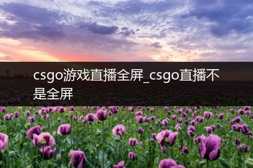 csgo游戏直播全屏_csgo直播不是全屏